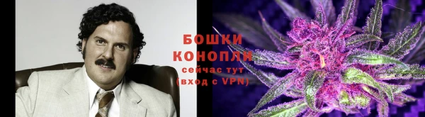 МДПВ Богородск