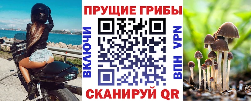 Псилоцибиновые грибы Psilocybine cubensis  купить  цена  Клин 